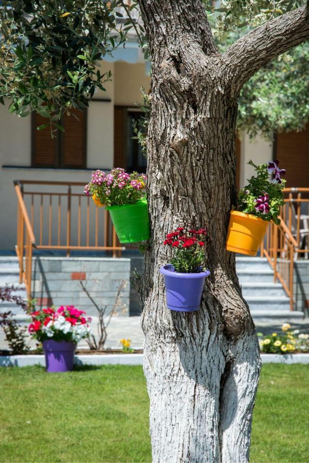Apartment Thassos Koinira