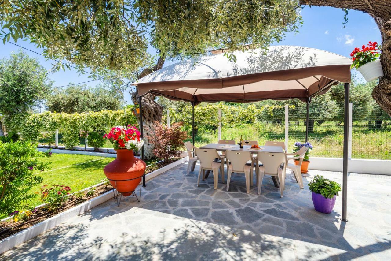 Apartmán Thassos Koinira